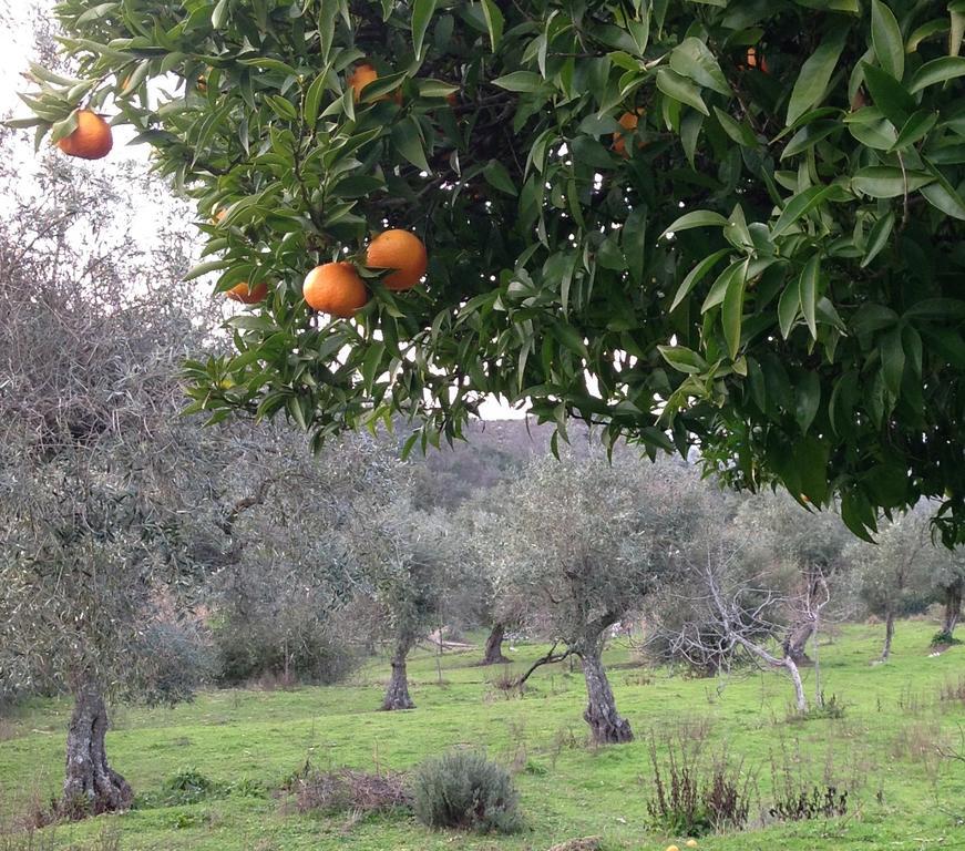 Refugio Da Maceira Villa Marvao  Ruang foto