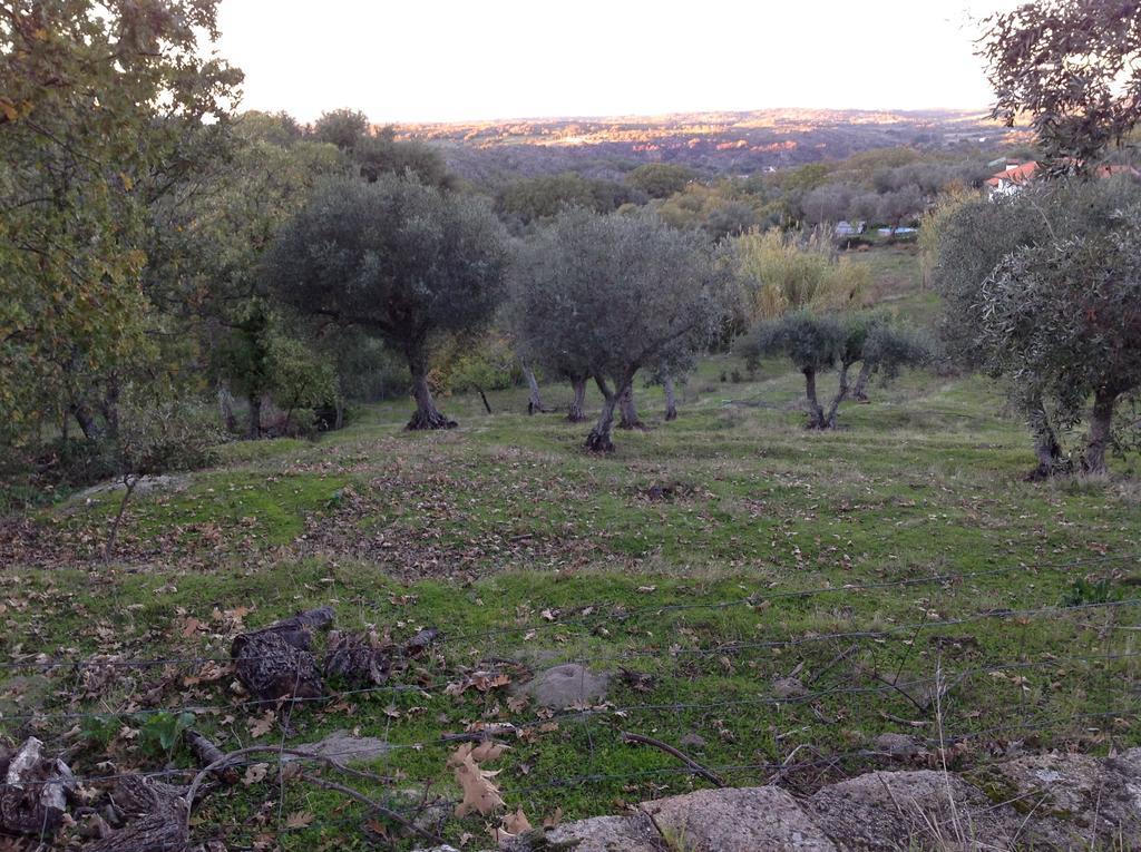 Refugio Da Maceira Villa Marvao  Ruang foto