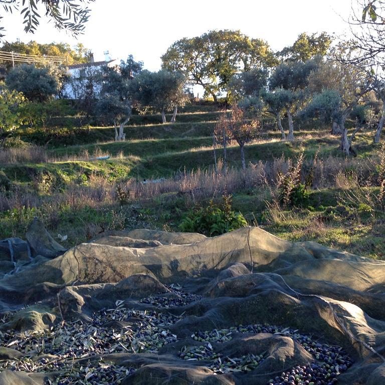 Refugio Da Maceira Villa Marvao  Ruang foto