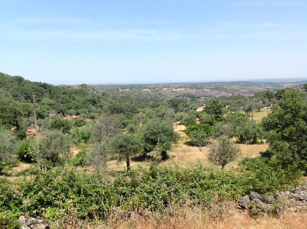 Refugio Da Maceira Villa Marvao  Bagian luar foto